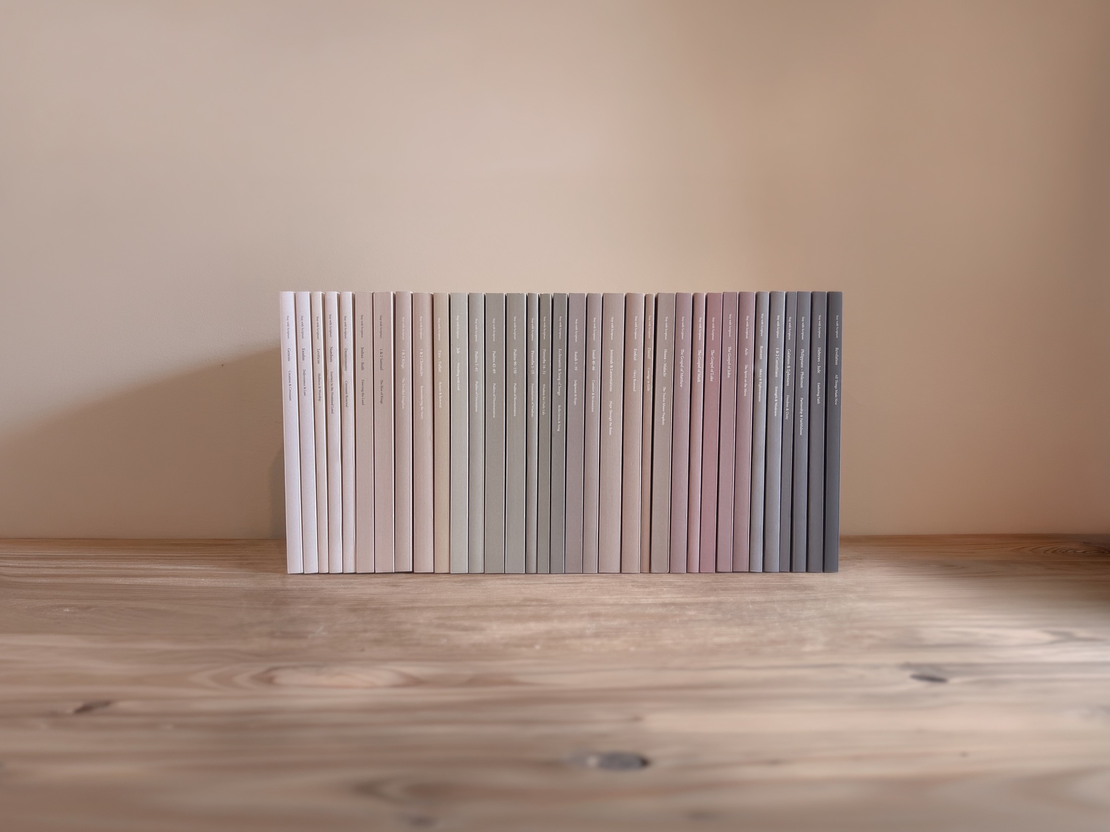 The complete Stay with Scripture journal series lined up